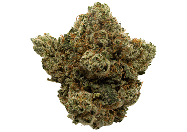El Jefe OG